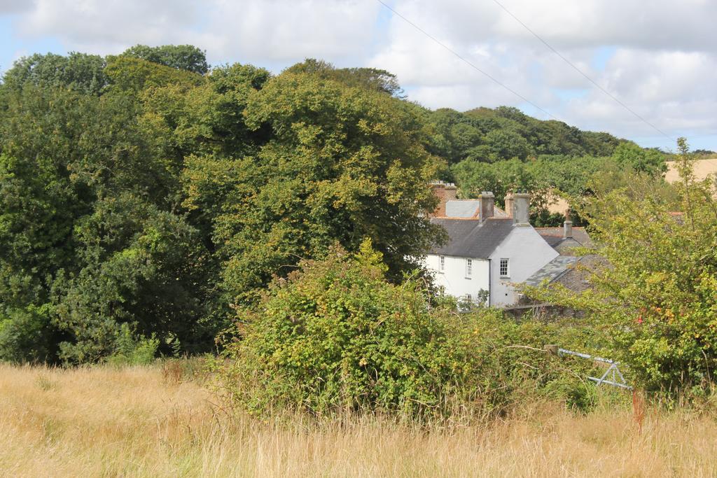 Costislost House Wadebridge Buitenkant foto